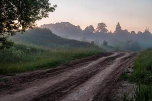 rural dirt road at foggy summer morning photo