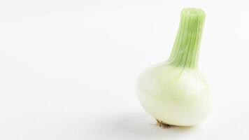 onion bulb spinning on white background, loopable photo