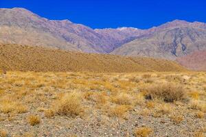 rocks and dry grass tufts in autumn mountains scene at sunny day photo