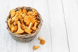 Cantharellus Cibarius, chanterelle mushrooms yellow on chalkboard photo