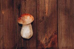 Boletus edulis on a table made of brown boards preparation for eating. photo