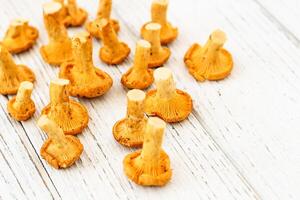 Cantharellus Cibarius, chanterelle mushrooms yellow on chalkboard photo