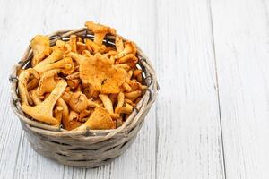Cantharellus Cibarius, chanterelle mushrooms yellow on chalkboard photo
