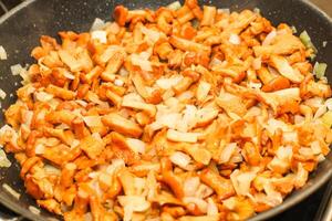 Cantharellus Cibarius, chanterelle mushrooms yellow cooking in a frying pan photo