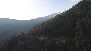 superiore Visualizza di alto montagna. sparo. incredibile aereo Visualizza di il alto montagna coperto con foresta con neve su superiore video