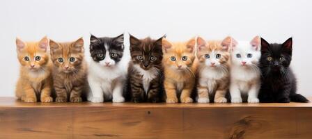 ai generado vibrante surtido de adorable gato gatitos sentado en un fila, cada mostrando único colores foto