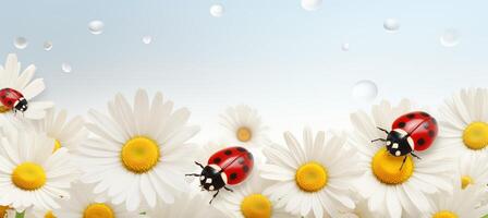 AI generated Ladybug on white flower with bright spring background, minimalistic abstract concept photo