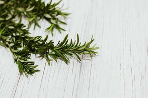 Sprigs of rosemary spices on a table with wooden boards, space for text photo