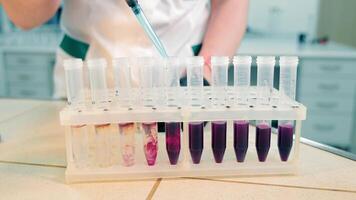 analysis a colored liquid to extract the DNA and molecules in the test tubes. video