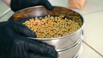 Selection of soybean fractions in the laboratory for research. Filtering soybeans with a sieve. video