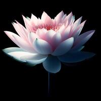 AI generated Lotus isolated on black background. Flowers and plants in spring. photo