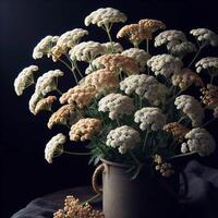 AI generated Achillea millefolium isolated on black background. Flowers and plants in spring. photo