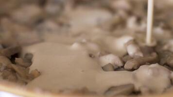 proche en haut de la poêle avec champignons dans une crème sauce. action. épais crème étant versé dans le la poêle avec frit champignons, préparation de champignon sauce. video