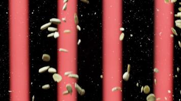 Close up of oat flakes falling down. Stock footage. Oatmeal splash, small flakes flying on black background with red vertical stripes, concept of healthy breakfast. video