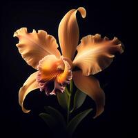 AI generated Sobralia orchid isolated on black background. Flowers and plants in spring. photo