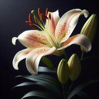 AI generated Lily isolated on black background. Flowers and plants in spring. photo