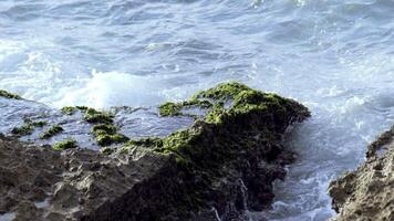 Small waves hitting and splashes against the sea shore. Action. Waves hitting rock. Splashes of sea waves on small rocks video