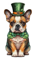 ai generado perro gráfico para Santo patrick's día png