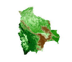 mapa topográfico da bolívia 3d mapa realista cor ilustração 3d png