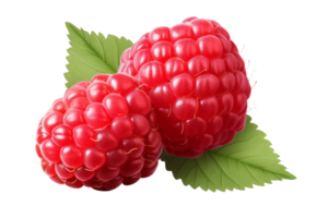 ai généré vibrant framboise tranche sur transparent Contexte png