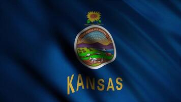 Abstract animation of Kansas-State flag waving in the wind. The flag of the State of Kansas was adopted in 1927. Animation. The elements of the state flag include the state seal and a sunflower. video