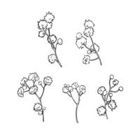 Vector graphics set drawing plants