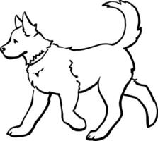 An adult domestic dog is walking. Linear vector drawing. For printing on products, advertising veterinary hospitals, farms. For printing on pet products. Images of animals in graphics. Happy pets.