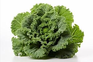 AI generated Vibrant escarole leaves on white backdrop for ads and packaging designs, visually stunning. photo