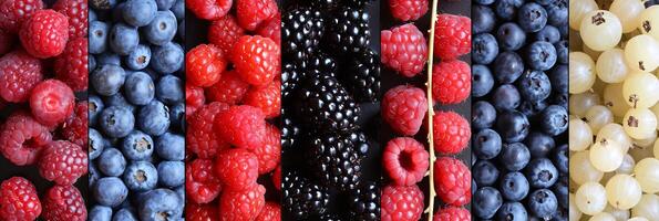 AI generated Vibrant berries collage with white lines, assorted segments   a stunning nature display photo