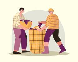 Male carry basket with berries, man sorting grapes. Cartoon characters making wine vector