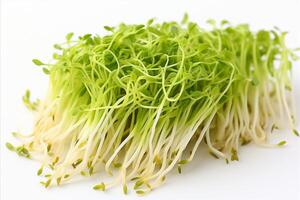 AI generated Fresh and vibrant bean sprouts on a clean white background for advertisements and packaging designs photo