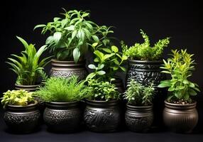 AI generated Set of small vases with aromatic plants for cooking or other uses. Healthy life. photo