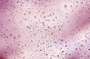 pink water drops background photo