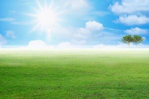 landscape green grass farming in morning sunrise photo