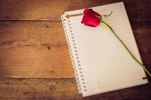red rose on notebook photo