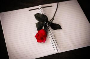 red rose on notebook photo