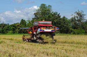 farm worker harvesting rice with tractor photo