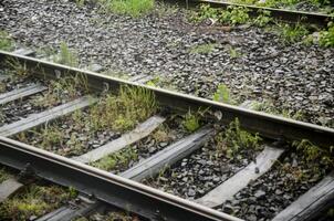 A train track with grass growing on it photo