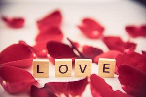 The red roses are placed on a white background and the wooden letters lined the word  love photo