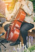 Man playing cello in morning ligth gold photo