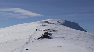 två bergsklättrare gående mot de topp av de berg. skön solig dag för utomhus- vinter- vandra. vinter- reser. äventyr. video