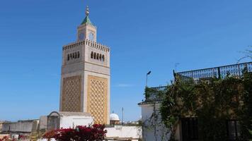 vieux médina de Tunisie, Tunisie. unesco monde patrimoine placer. autour 700 les monuments, comprenant les palais, mosquées, mausolées, madrasas et fontaines, témoigner à cette remarquable historique ville. video