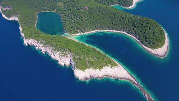 mljet isla en Croacia. el nacional parque cubre el occidental parte de el isla, cuales muchos considerar como el más seductor en el adriático, lleno de lozano y variado Mediterráneo vegetación video