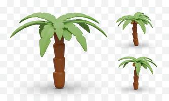 Set of realistic palm trees with coconuts. 3D icons of palmae from different sides vector