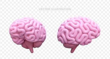 3d realista modelo de cerebro en diferente posiciones. emblema para médico colegio vector