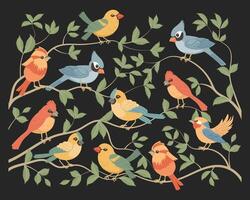 conjunto de linda brillante aves sentado en árbol sucursales. conjunto de varios primavera aves en naturaleza. primavera ilustración en plano dibujos animados estilo. vector