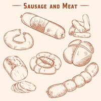 Sketches of pork sausage, veal and lamb. Bacon, ham sausage, sausages - engraved vector set. Processed meat products,