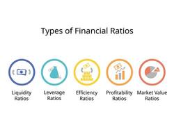 Types of Financial Ratios for Liquidity, leverage, efficiency, profitability, market value ratio vector