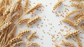 AI generated Golden Wheat Stalks Isolated on White Background photo