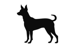 Portuguese Podengo Dog black Silhouette vector isolated on a white background